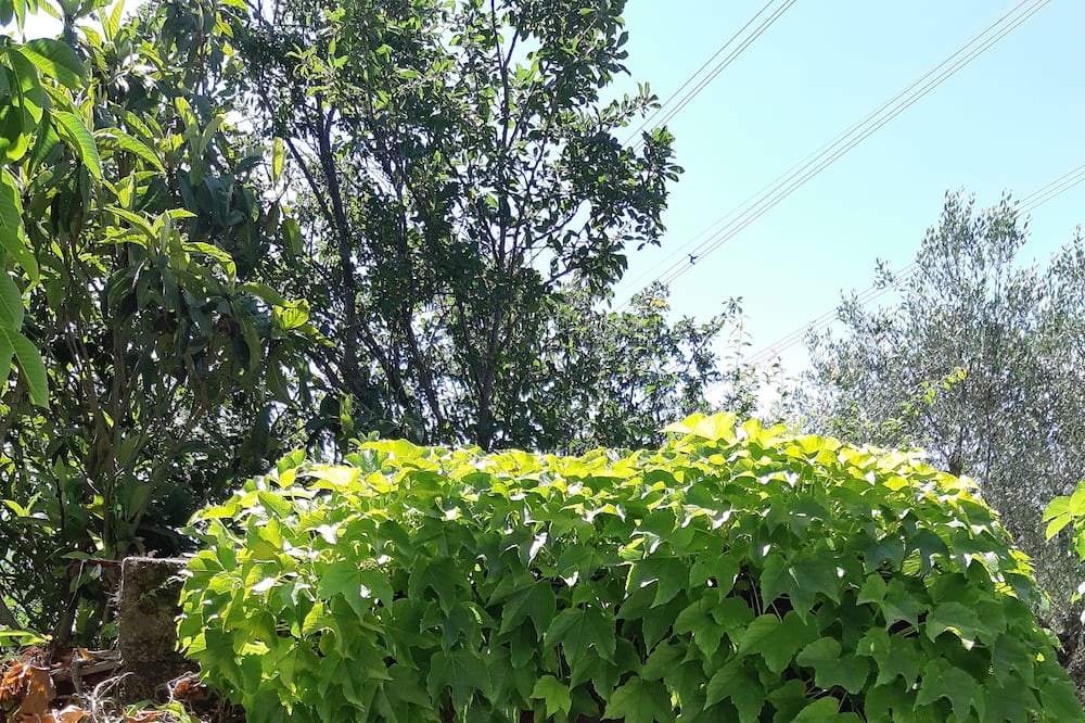 Photo of Outdoor in Roccadaspide