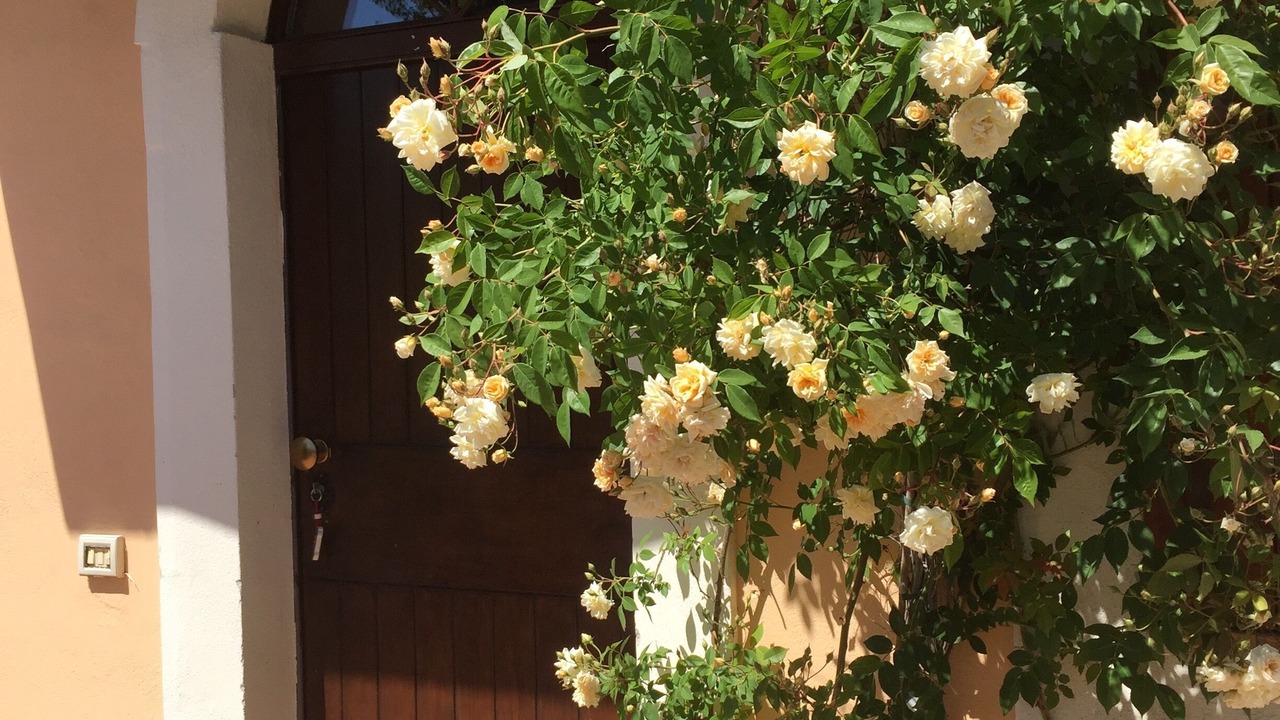 Photo of Outdoor in Calvi di Umbria