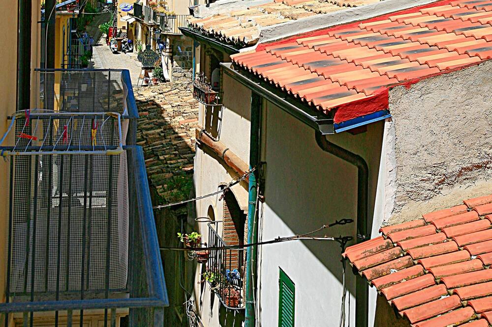 Photo of Others in Scilla
