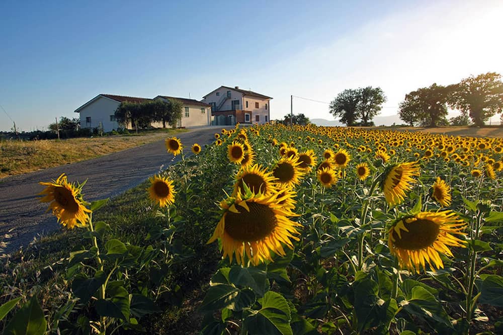 Photo of Others in Montecastrilli