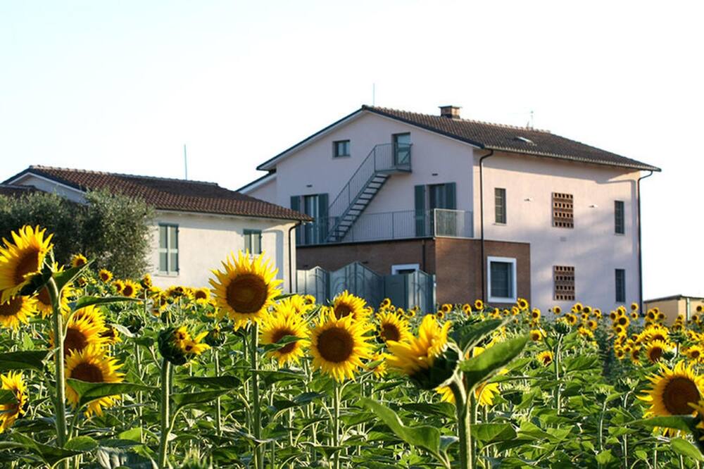 Photo of Others in Montecastrilli