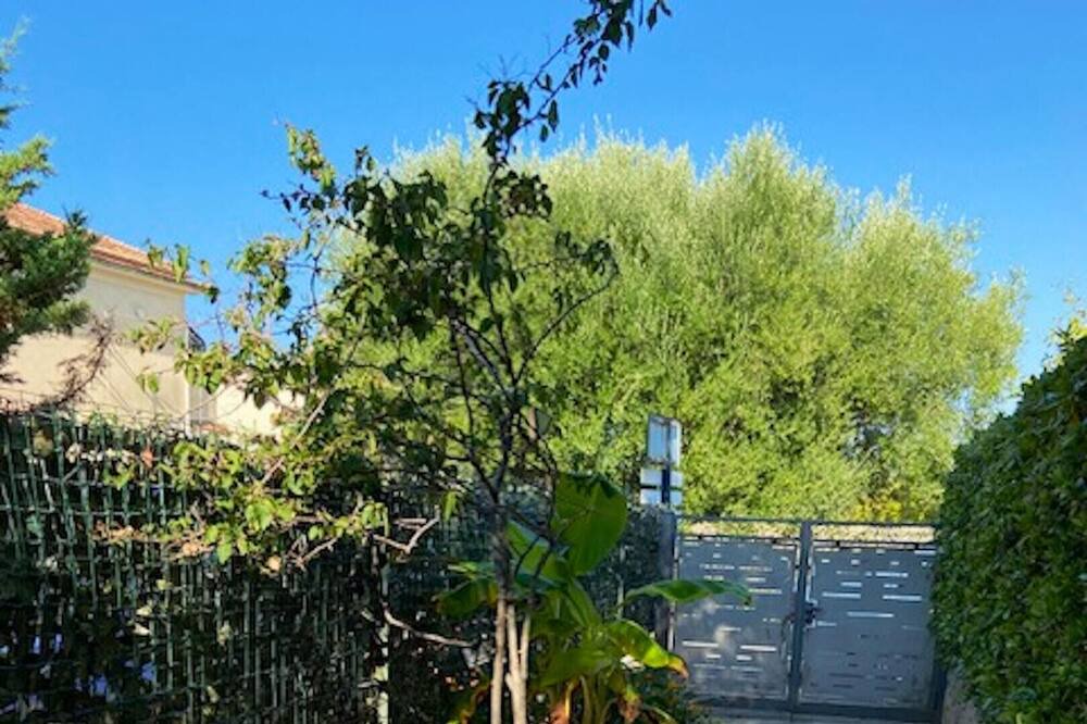 Photo of Outdoor in Marina Di Camerota
