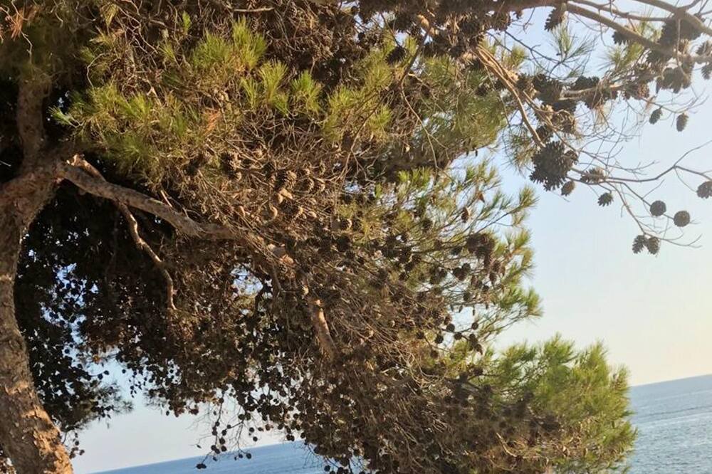 Photo of Others in Marina Di Camerota
