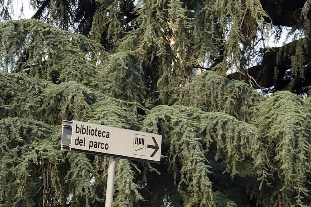 Photo of Others in Monza