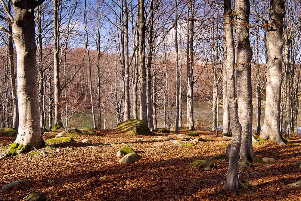 Photo of Others in Ventasso