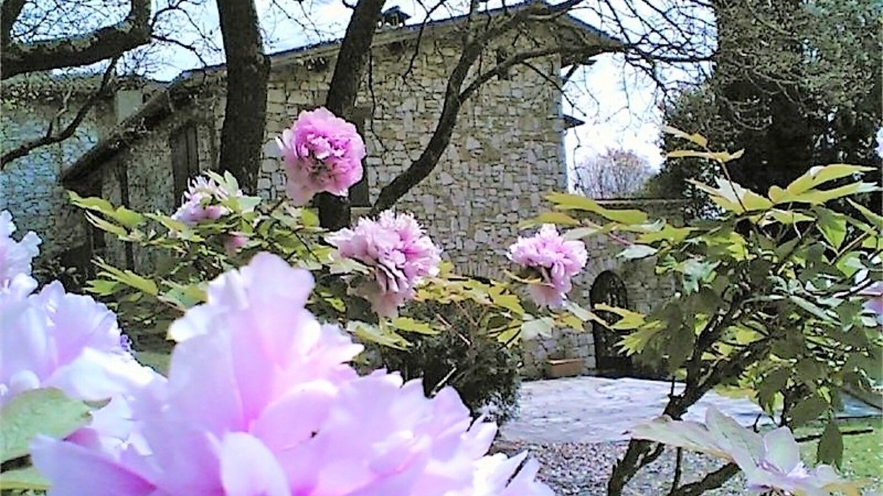 Photo of Outdoor in Orte