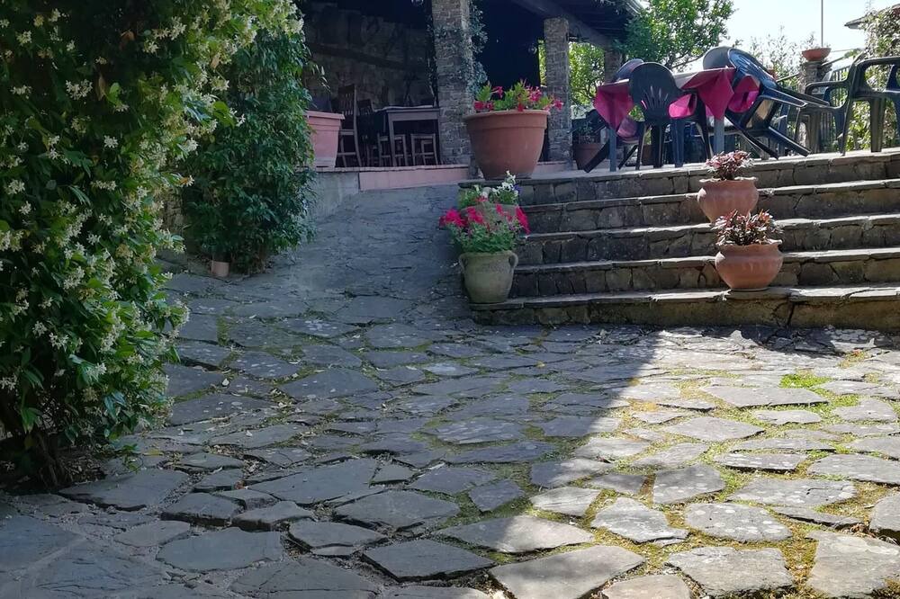 Photo of Others in Ogliastro Cilento