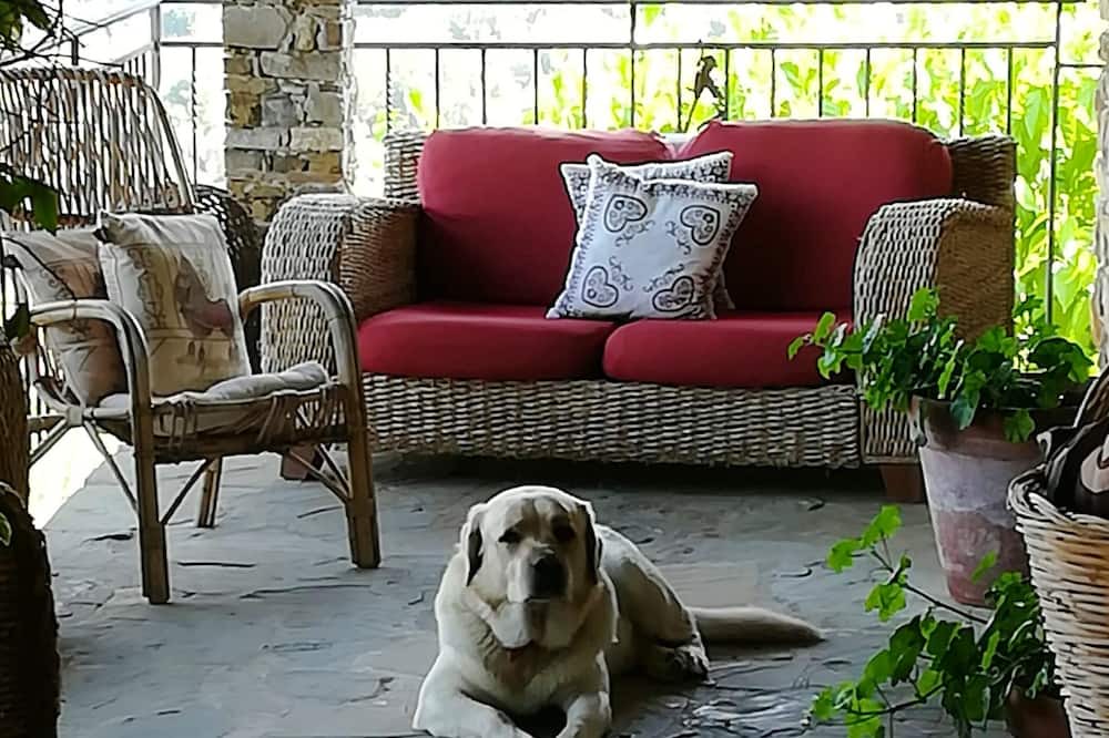 Photo of Outdoor in Ogliastro Cilento