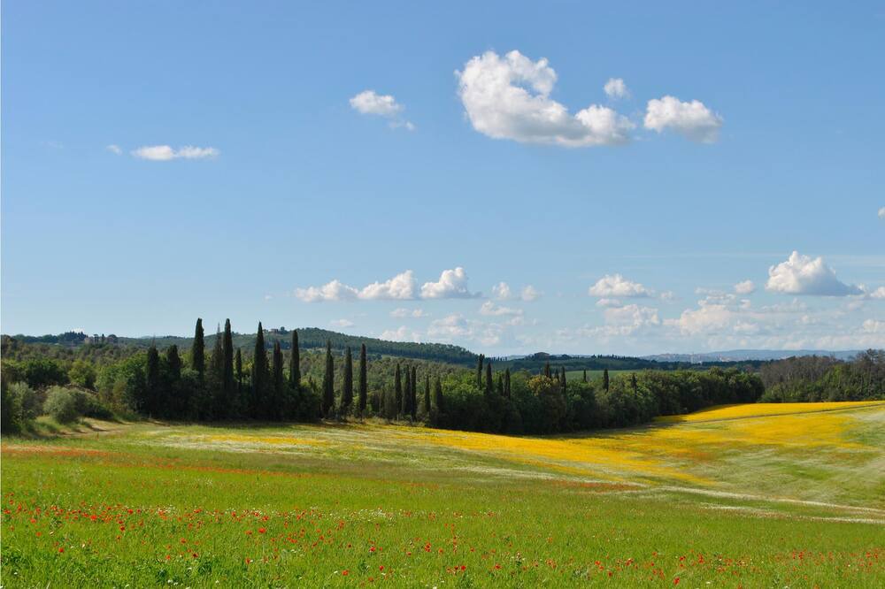 Photo of Others in Chiusdino