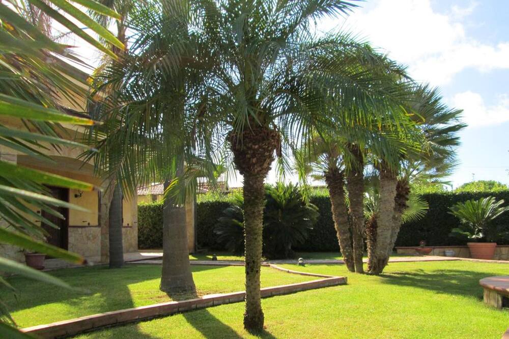 Photo of Outdoor in Eboli