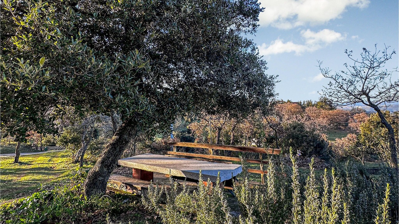 Photo of Outdoor in Orgosolo