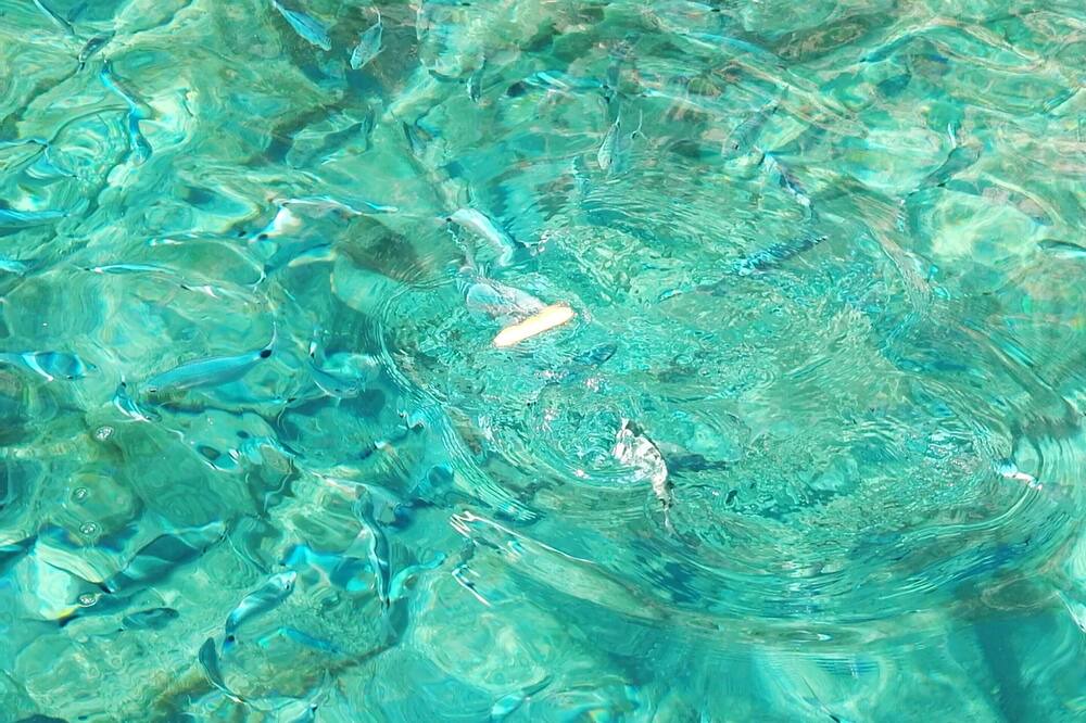 Photo of Outdoor in Marina Di Camerota