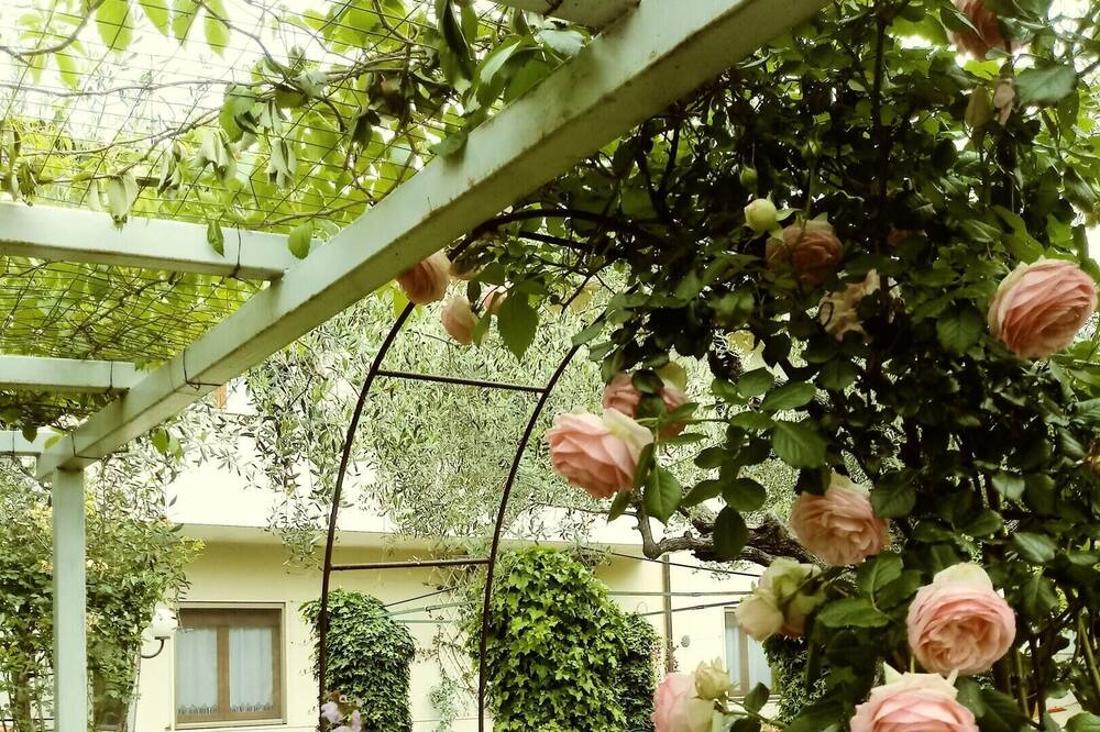 Photo of Outdoor in Tollo