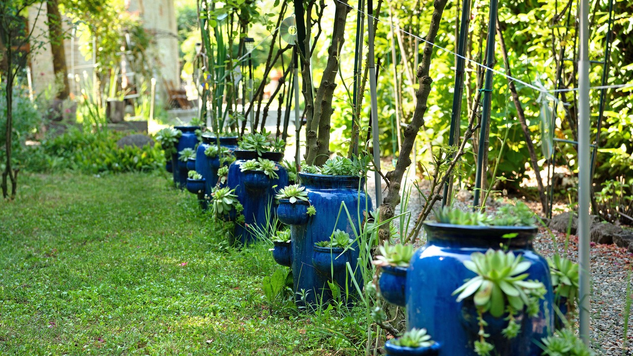 Photo of Outdoor in Cassinasco