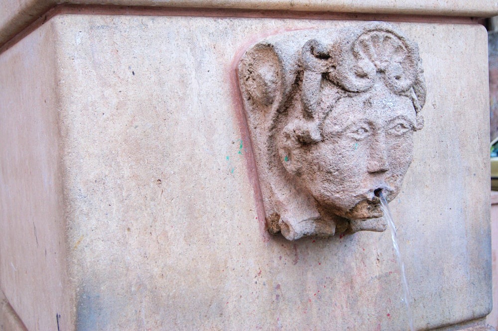Photo of Others in Mendicino