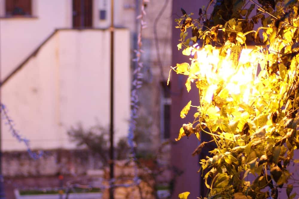 Photo of Others in Mendicino