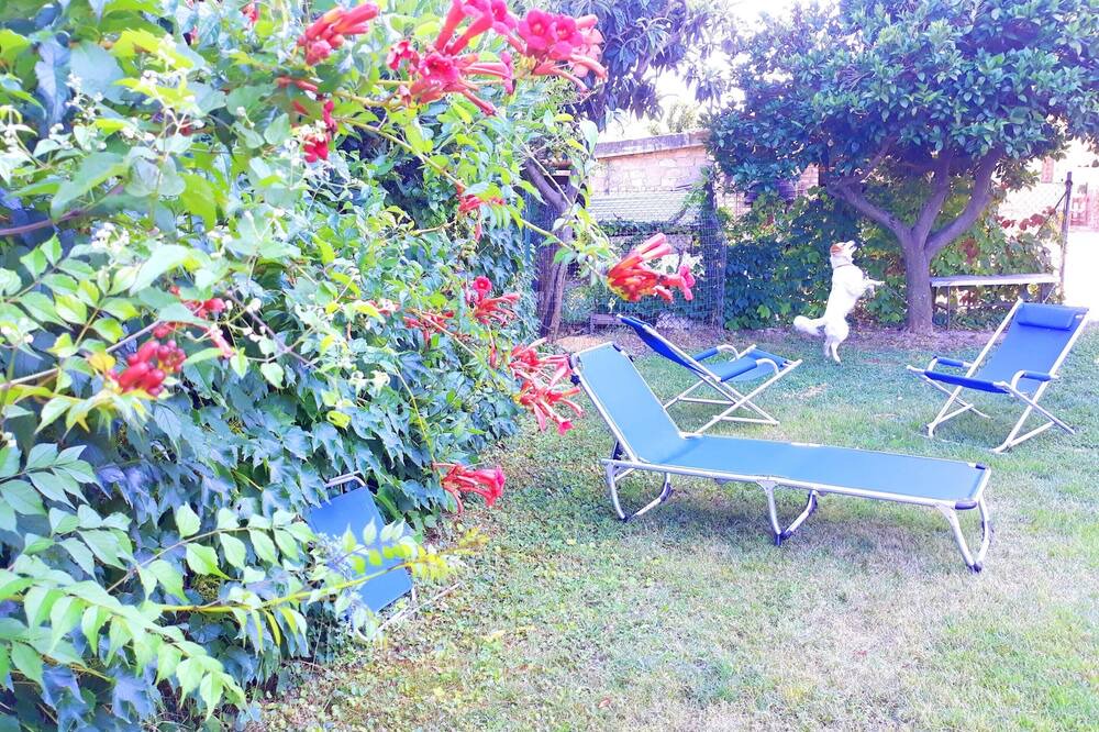 Photo of Outdoor in Canosa Sannita