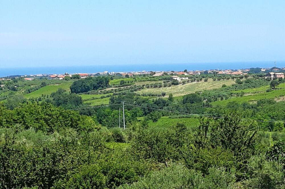 Photo of Others in Canosa Sannita