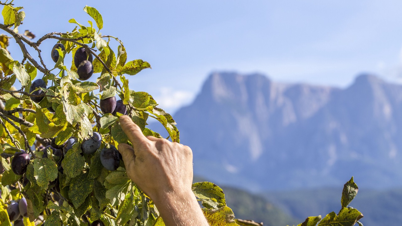 Photo of Outdoor in Barbiano