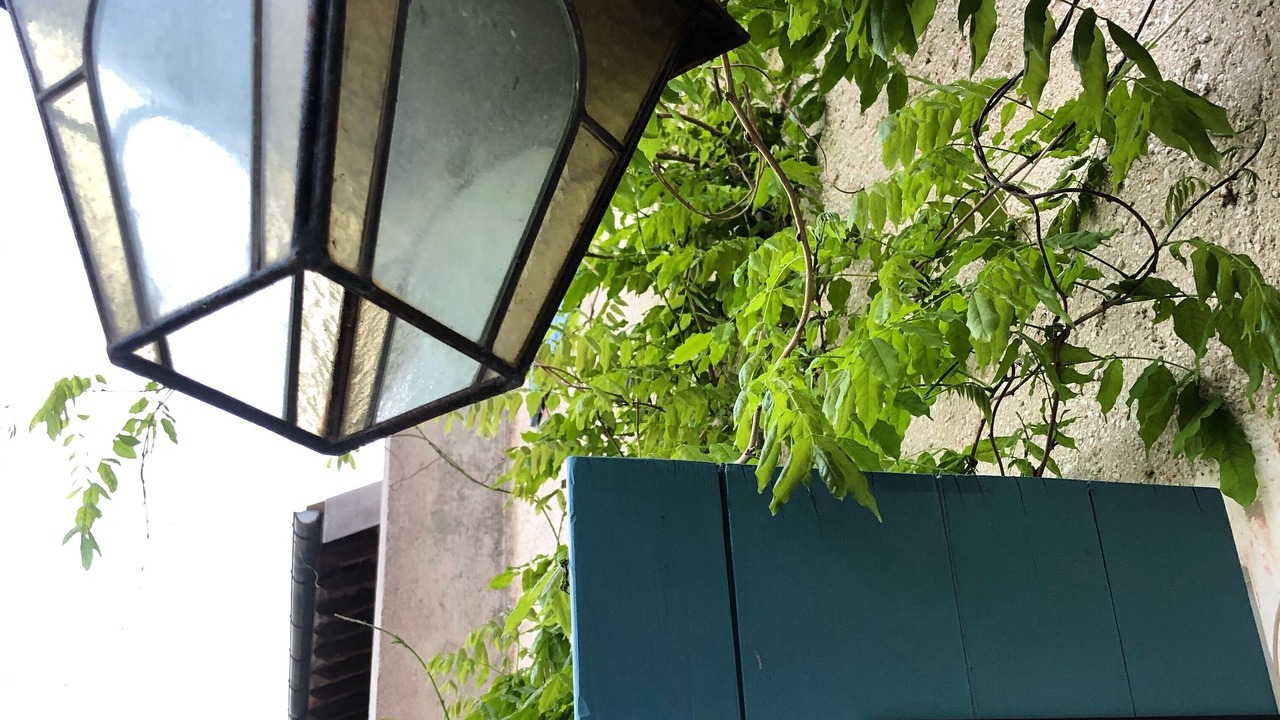 Photo of Outdoor in Caneva