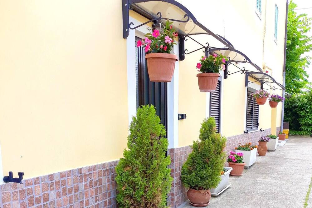 Photo of Others in Canosa Sannita