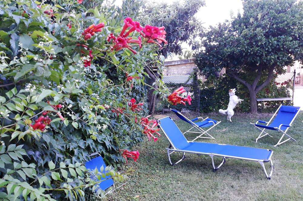 Photo of Outdoor in Canosa Sannita