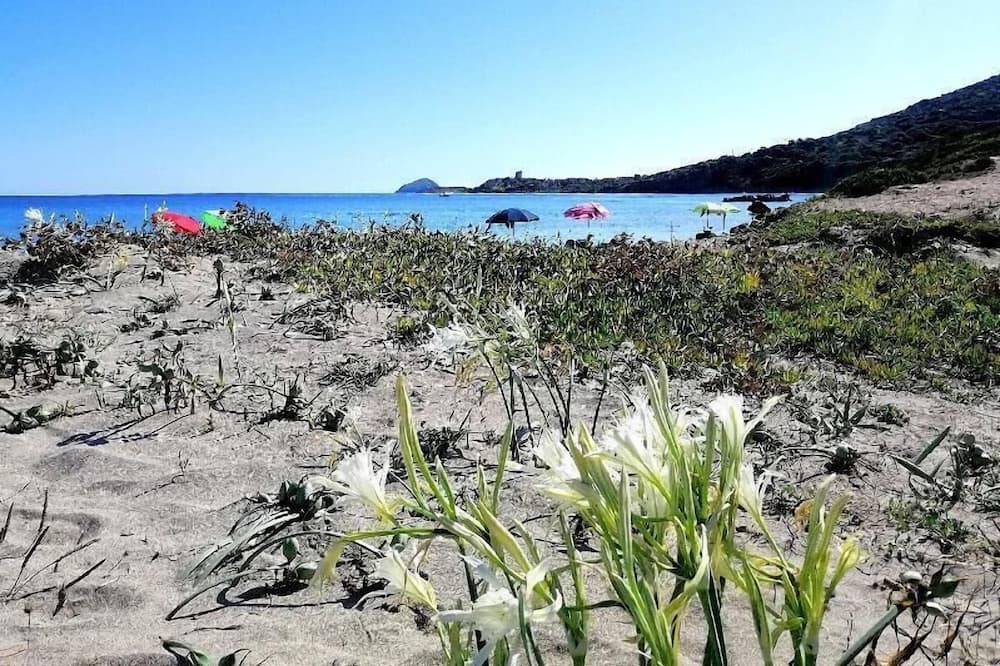 Photo of Others in Sant'Antioco