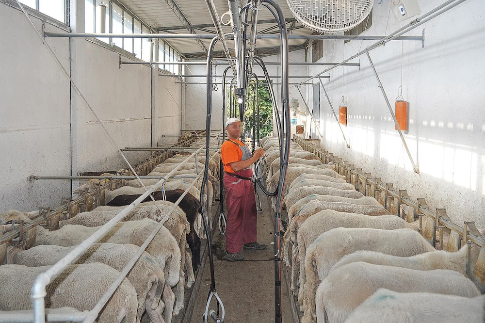 Photo of Others in Radicondoli