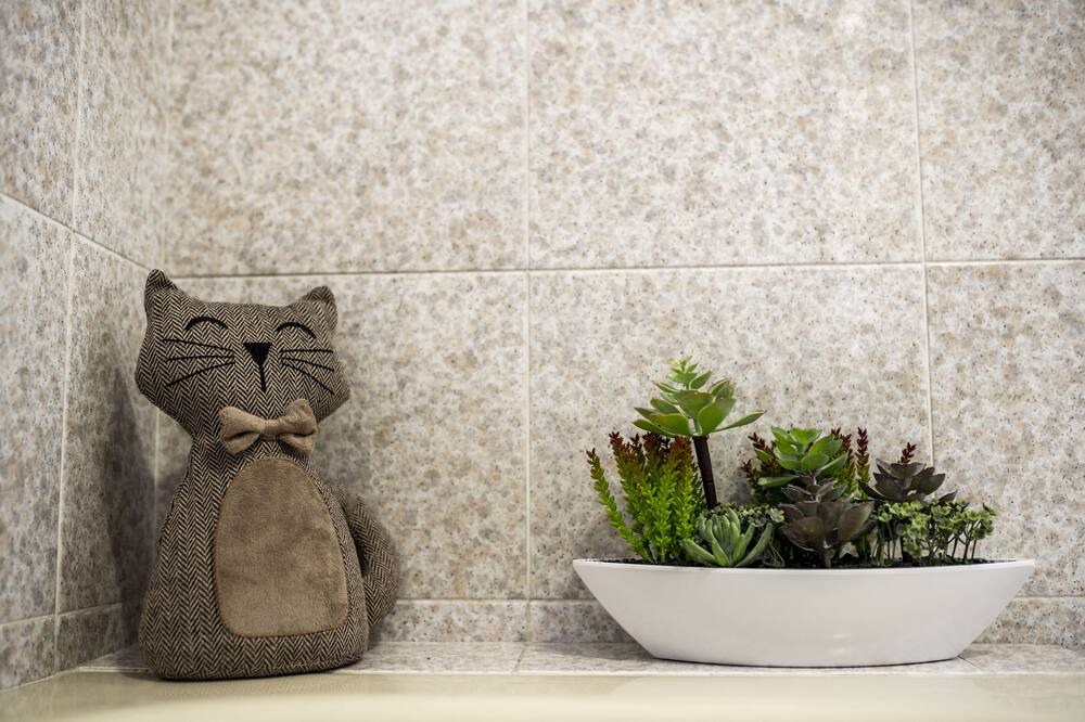 Photo of Bathroom in Cologno al Serio