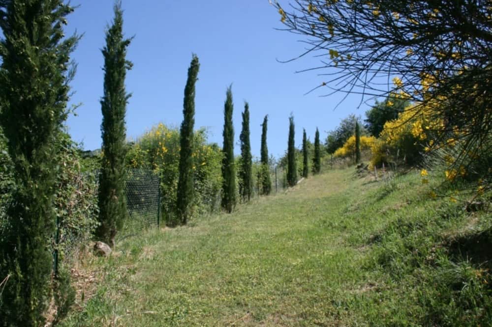 Photo of Others in Subbiano