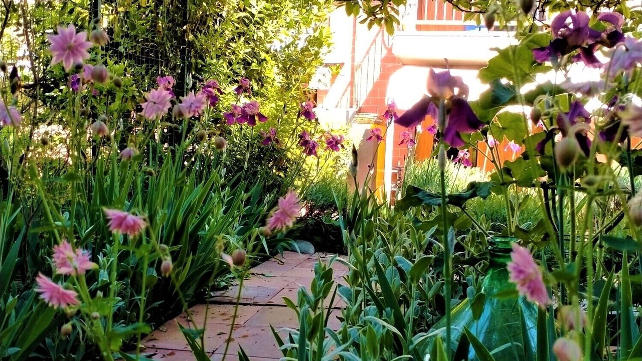 Photo of Outdoor in Paratico