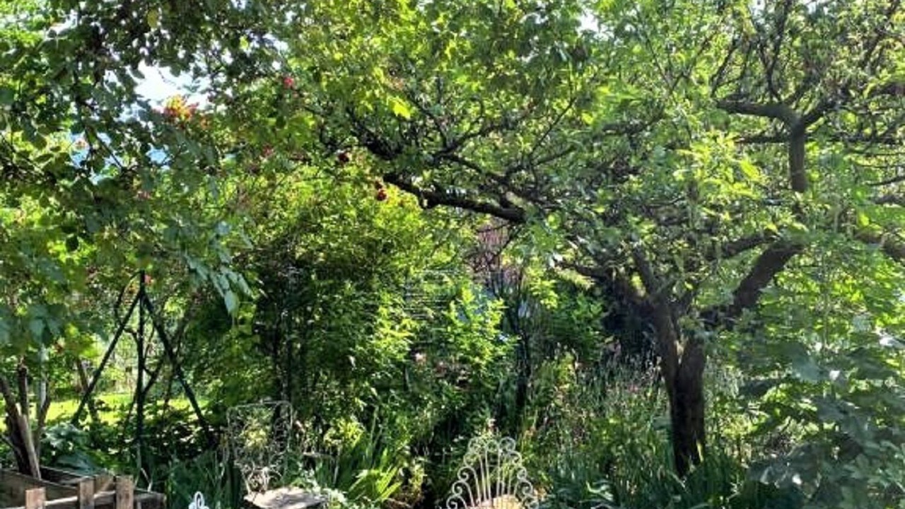 Photo of Outdoor in Paratico