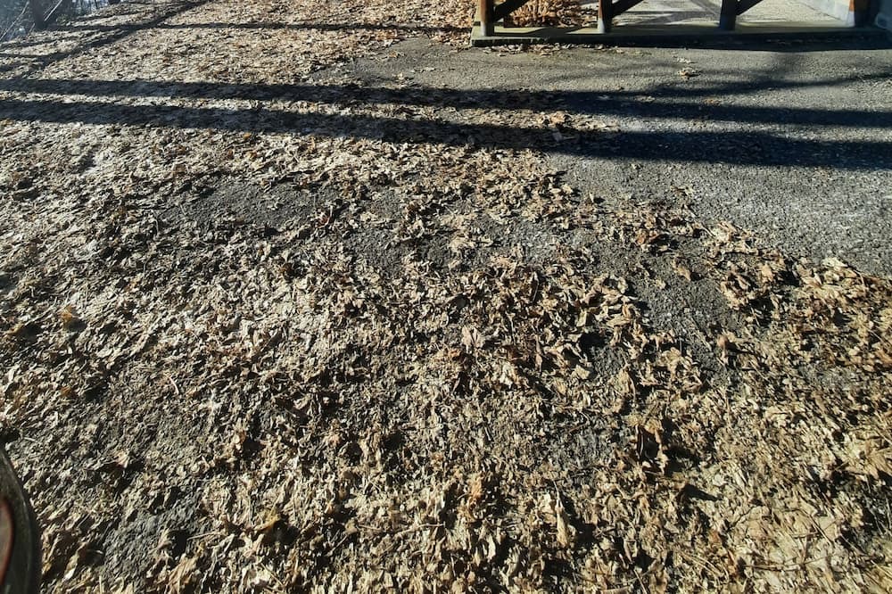 Photo of Outdoor in Fiumalbo