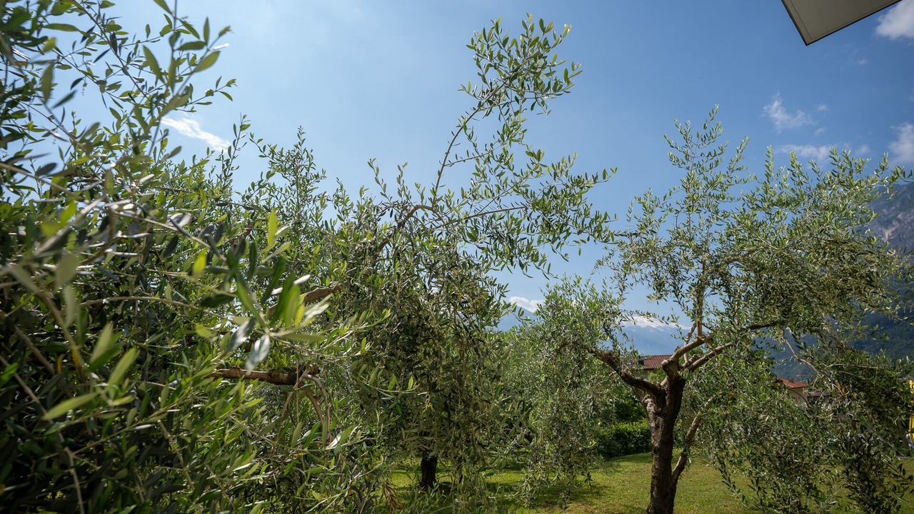 Photo of Outdoor in Bolognano-Vignole