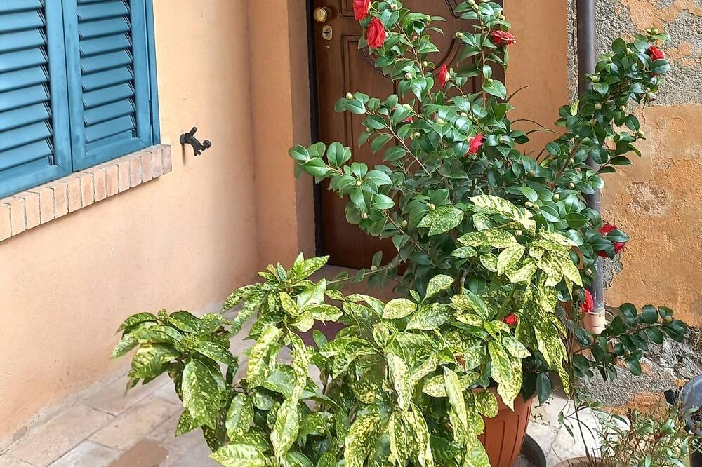 Photo of Outdoor in Castel di Lama