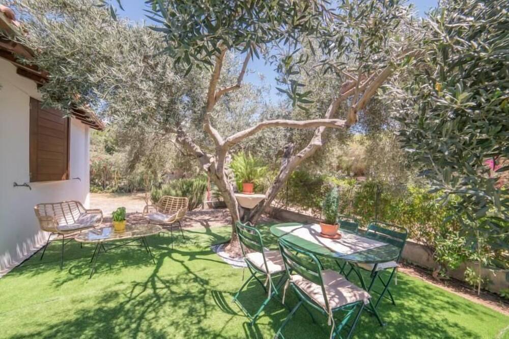 Photo of Outdoor in Solanas