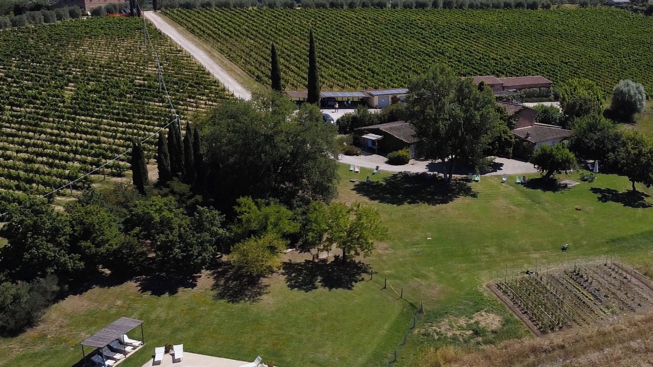 Photo of Outdoor in Foiano della Chiana