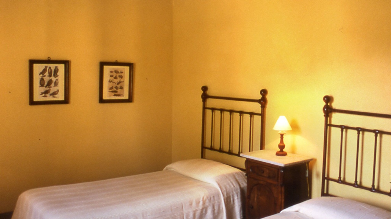 Photo of Outdoor in Foiano della Chiana