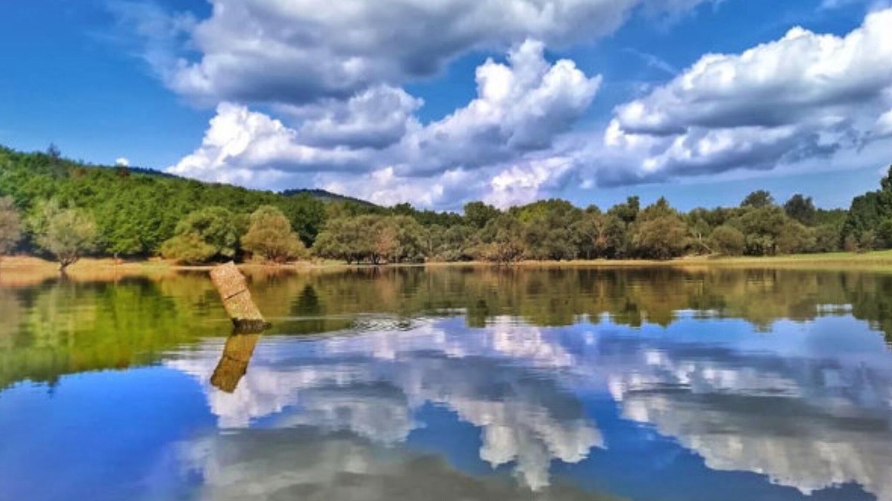 Photo of Outdoor in Foiano della Chiana