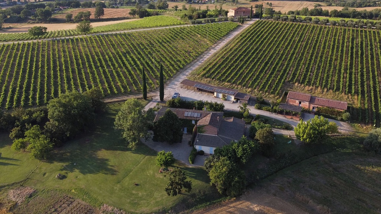 Photo of Outdoor in Foiano della Chiana