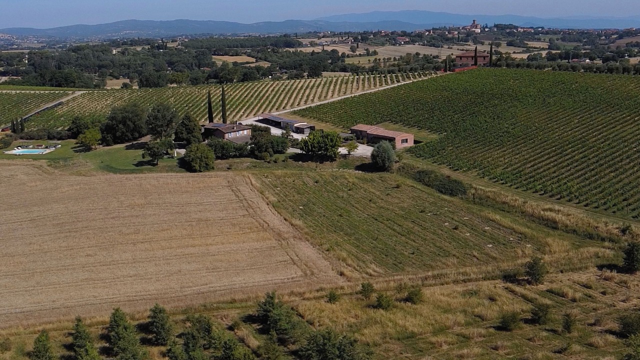 Photo of Outdoor in Foiano della Chiana
