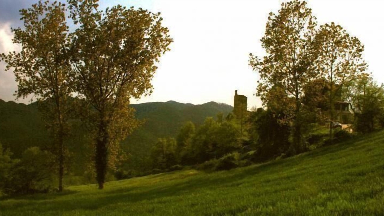 Photo of Others in Mercatello sul Metauro