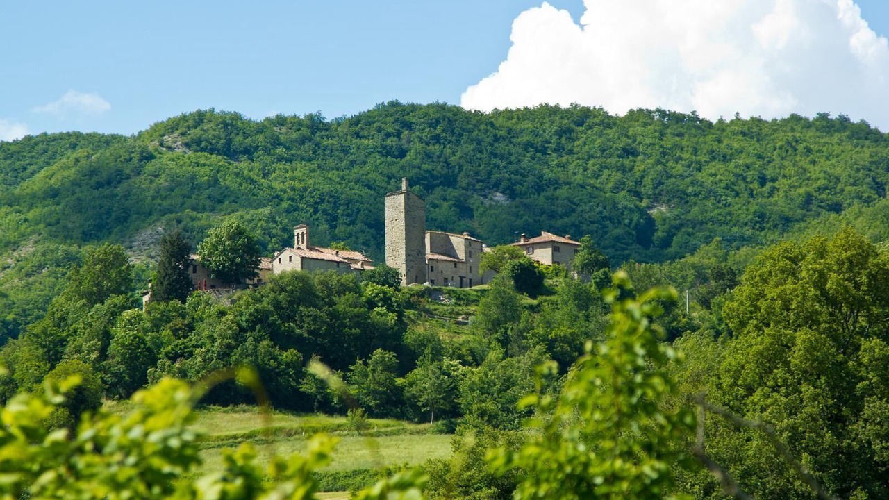 Photo of Outdoor in Mercatello sul Metauro
