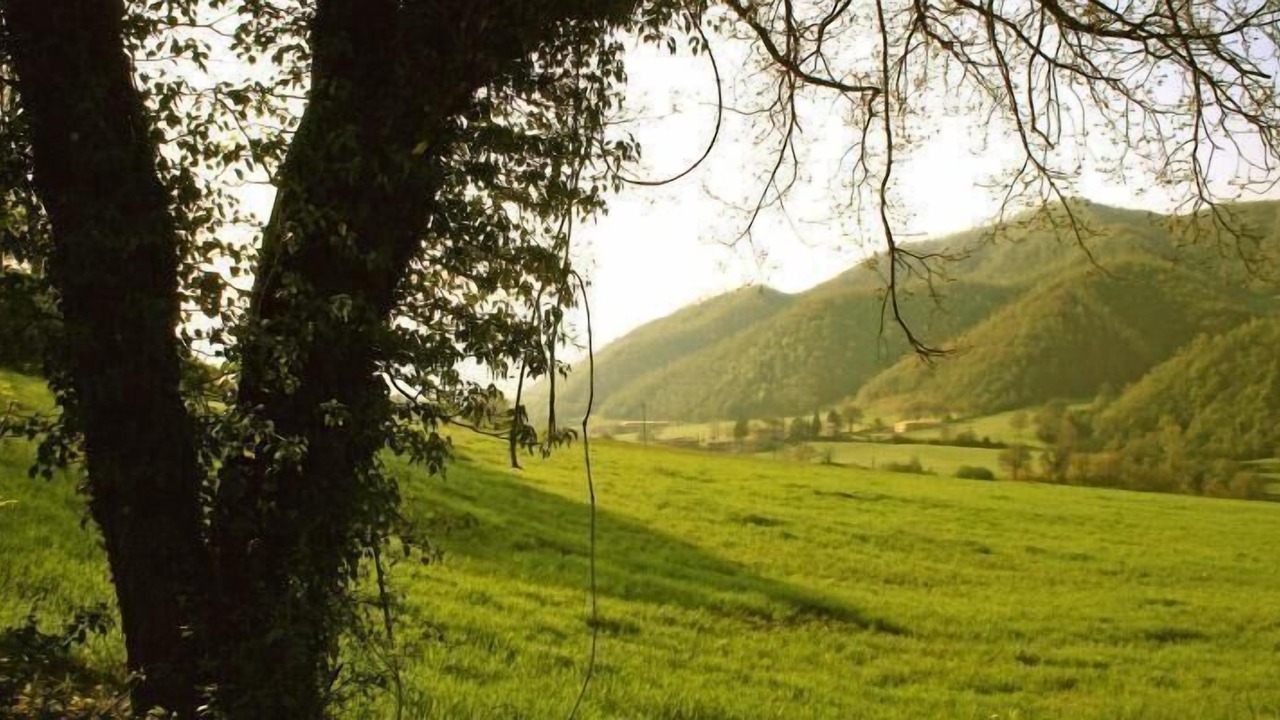 Photo of Others in Mercatello sul Metauro