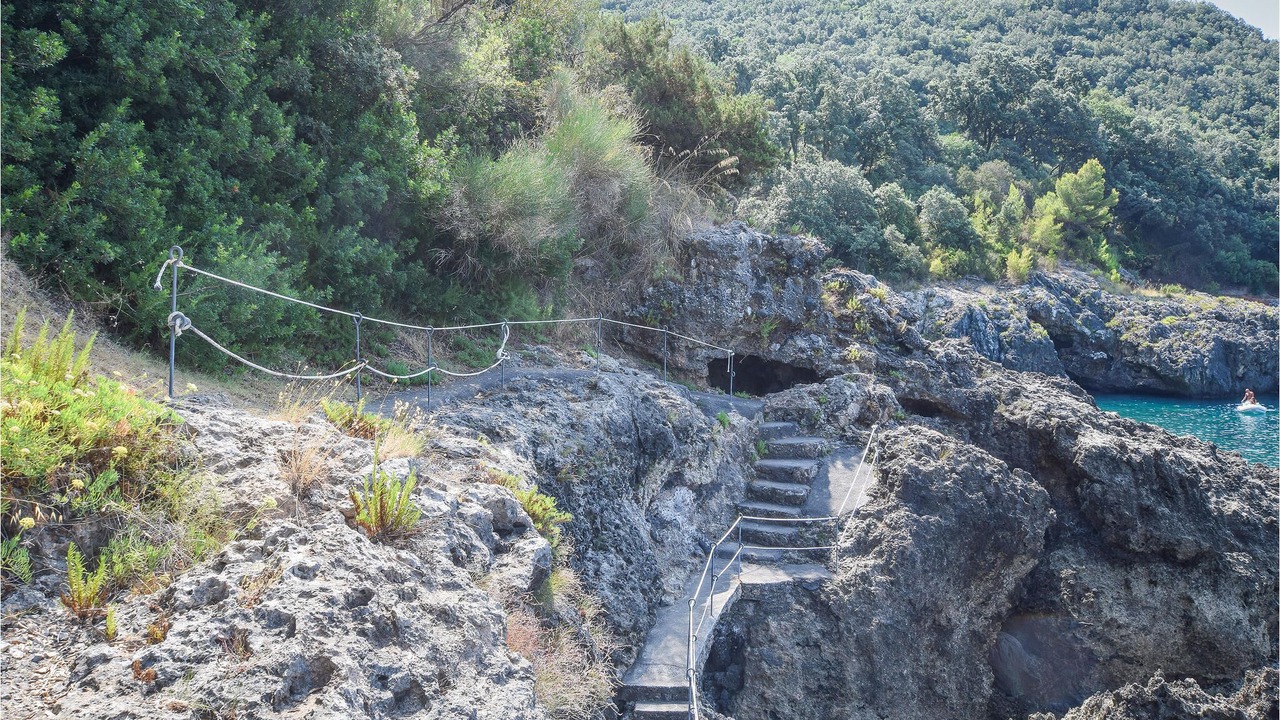 Photo of Others in Palmi