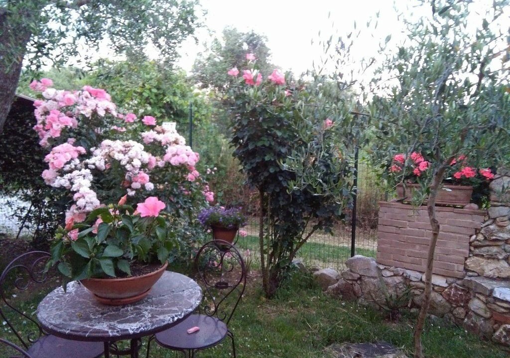 Photo of Outdoor in Querceta