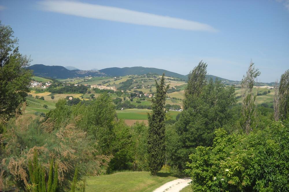 Photo of Outdoor in Serra de' Conti