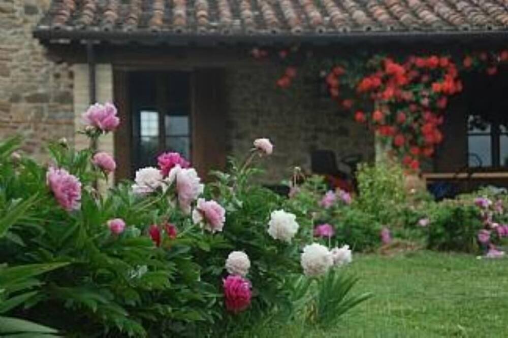 Photo of Others in Marsciano