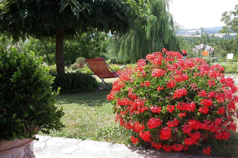 Photo of Outdoor in Marsciano