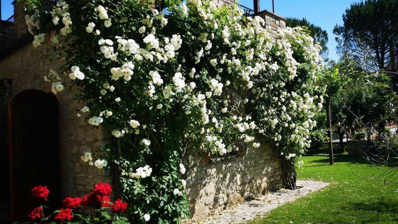 Photo of Outdoor in San Venanzo